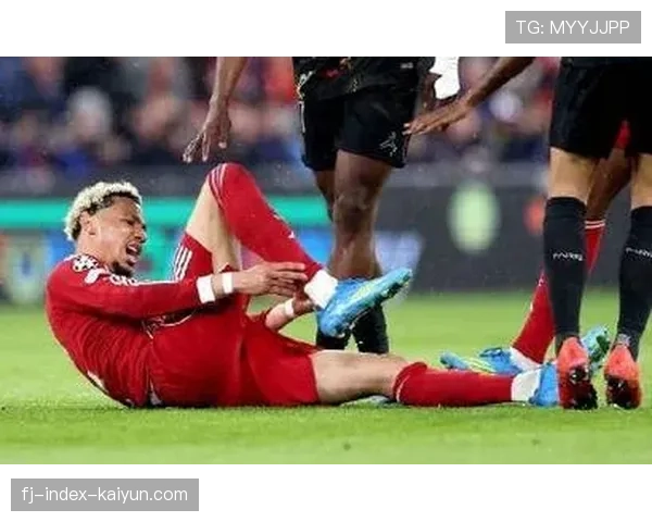 于格·埃基蒂克跟腱断裂，赛季报销并错失世界杯