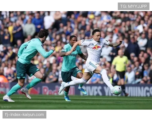 利兹联3-0完胜狼队，白玫瑰主场展现强大攻击力